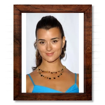 Cote De Pablo 14x17