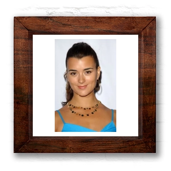 Cote De Pablo 6x6