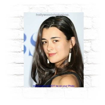 Cote De Pablo Metal Wall Art