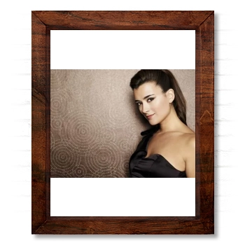 Cote De Pablo 14x17