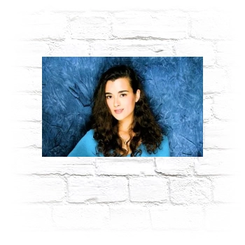 Cote De Pablo Metal Wall Art