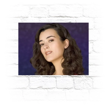 Cote De Pablo Metal Wall Art