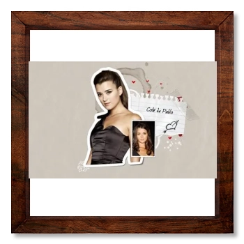 Cote De Pablo 12x12