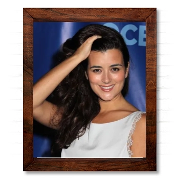 Cote De Pablo 14x17