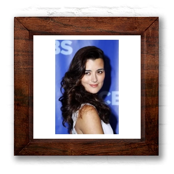 Cote De Pablo 6x6