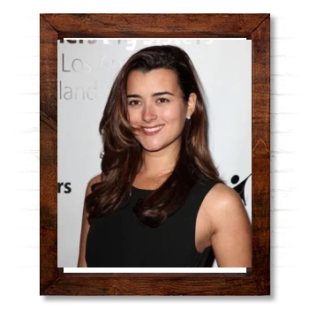 Cote De Pablo 14x17