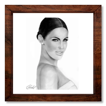 Jessica Lowndes 12x12