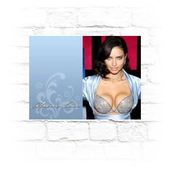 Adriana Lima Metal Wall Art