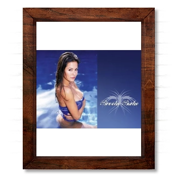 Brooke Burke 14x17