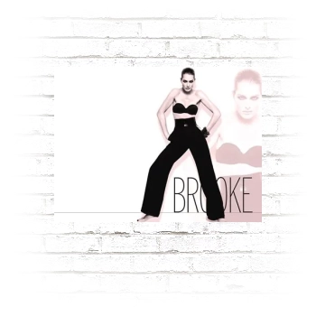 Brooke Shields Poster