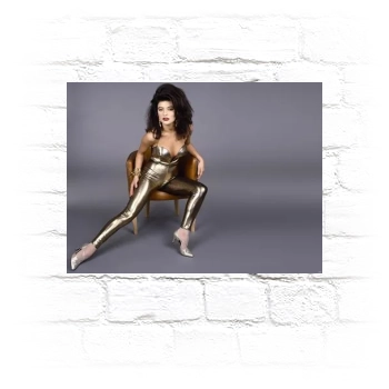 Catherine Zeta-Jones Metal Wall Art