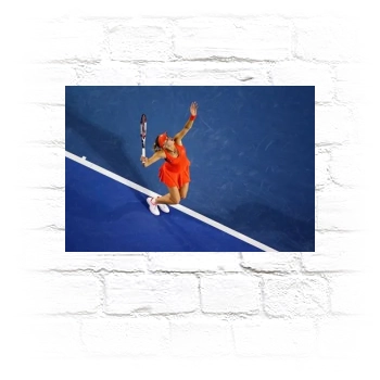 Caroline Wozniacki Metal Wall Art