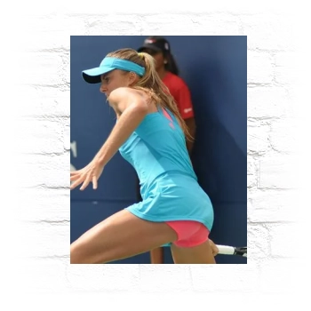 Daniela Hantuchova Metal Wall Art