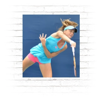 Daniela Hantuchova Poster