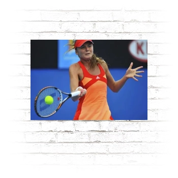 Daniela Hantuchova Poster