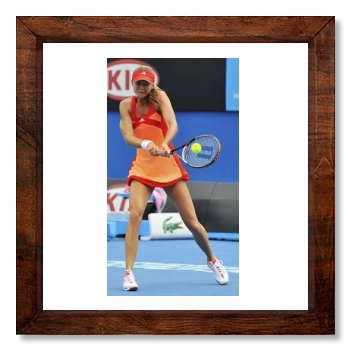 Daniela Hantuchova 12x12