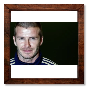 David Beckham 12x12