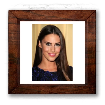 Jessica Lowndes 6x6