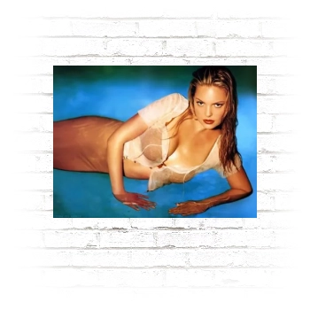 Katherine Heigl Poster