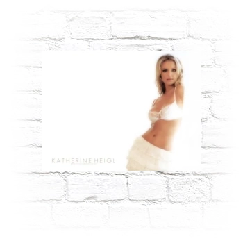 Katherine Heigl Metal Wall Art