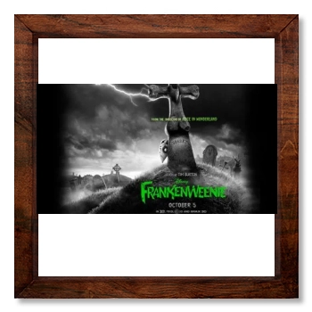 Frankenweenie (2012) 12x12