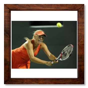 Caroline Wozniacki 12x12