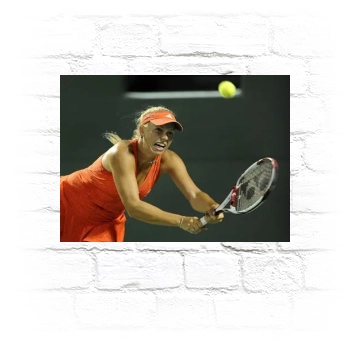 Caroline Wozniacki Metal Wall Art