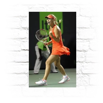 Caroline Wozniacki Metal Wall Art