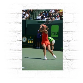 Caroline Wozniacki Metal Wall Art