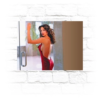 Catherine Zeta-Jones Metal Wall Art