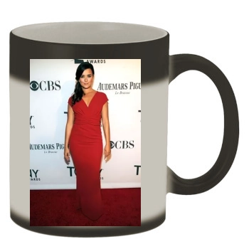 Cote De Pablo Color Changing Mug