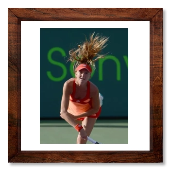 Daniela Hantuchova 12x12