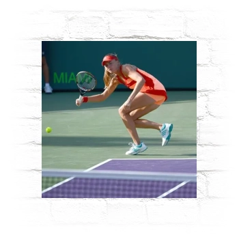 Daniela Hantuchova Metal Wall Art