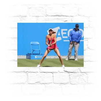 Daniela Hantuchova Metal Wall Art