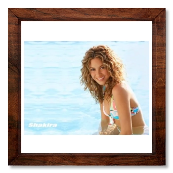 Shakira 12x12