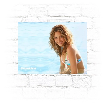 Shakira Metal Wall Art