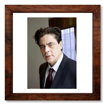 Benicio del Toro 12x12