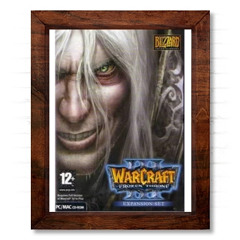 Warcraft 3 Frozen Throne 14x17