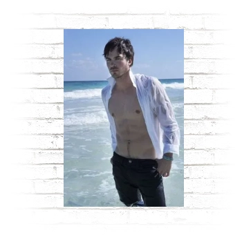 Ian Somerhalder Poster