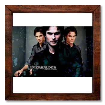 Ian Somerhalder 12x12