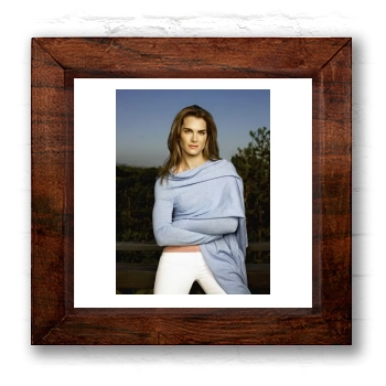 Brooke Shields 6x6