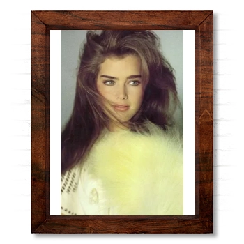 Brooke Shields 14x17