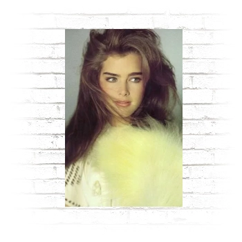 Brooke Shields Poster