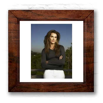 Brooke Shields 6x6