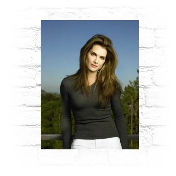 Brooke Shields Metal Wall Art