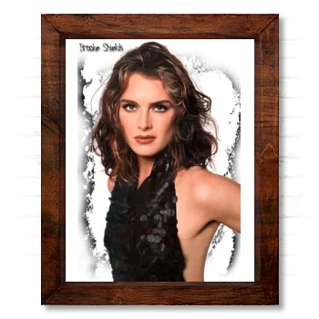 Brooke Shields 14x17