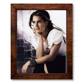 Brooke Shields 14x17