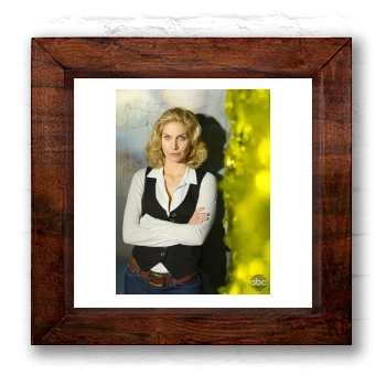 Elizabeth Mitchell 6x6