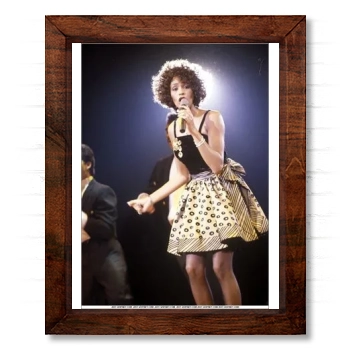 Whitney Houston 14x17