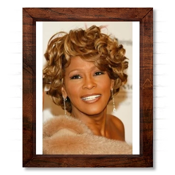 Whitney Houston 14x17